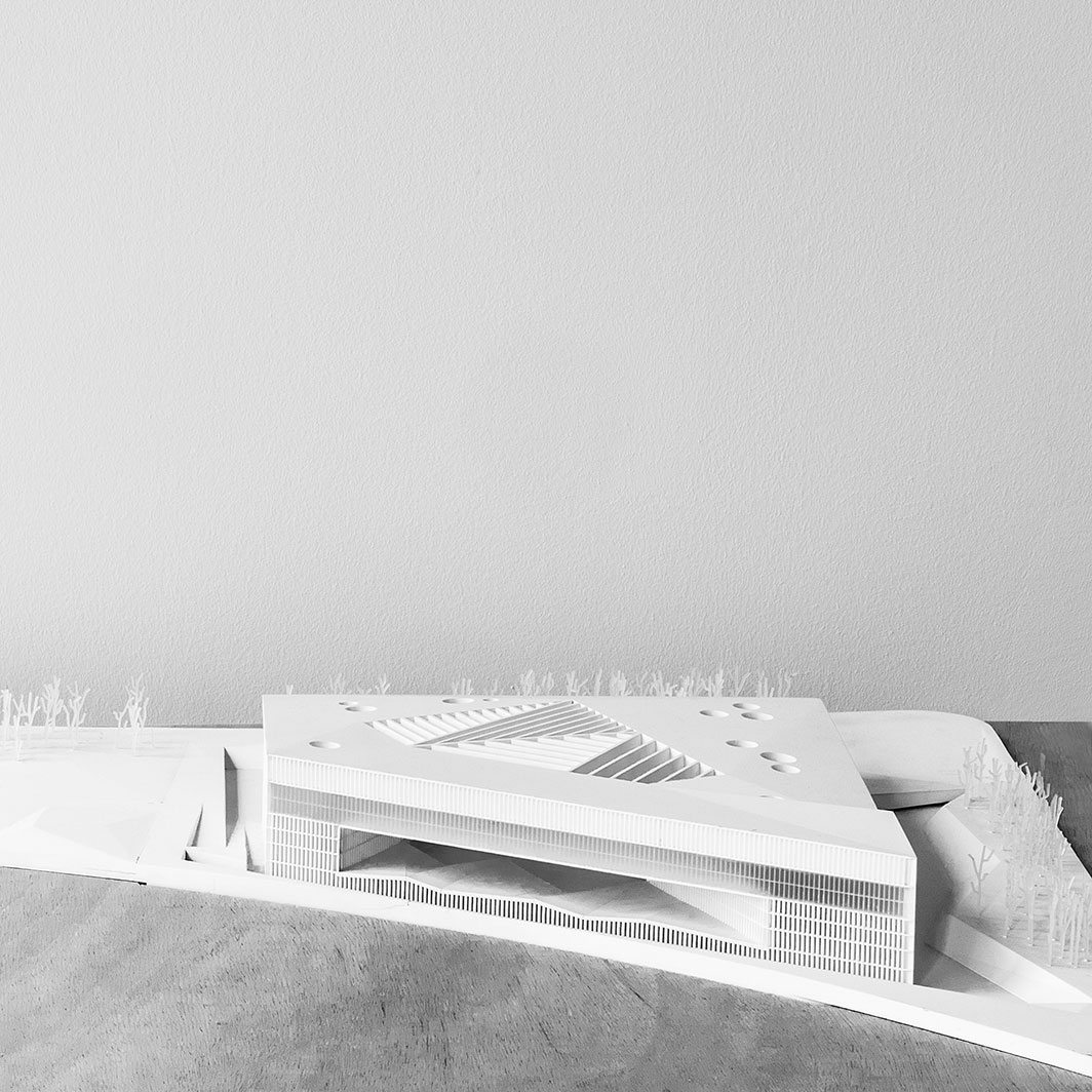 Tribunal Internacional de Justicia de La Haya